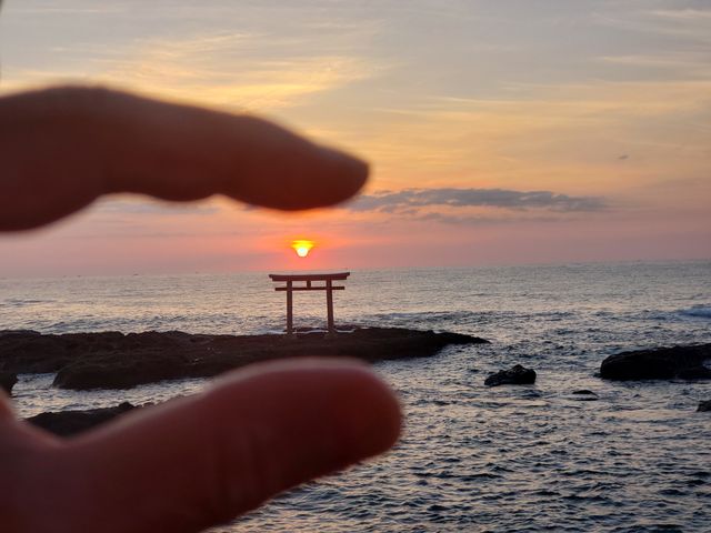 �߂܂���I_�_�钹��