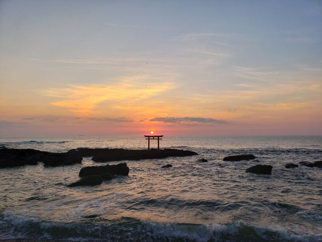 �������_�_�钹��