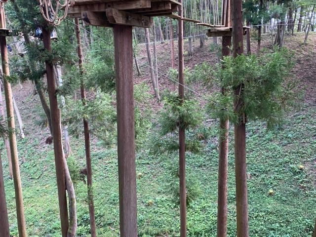 �����ł��B_�t�H���X�g�A�h�x���`���[�E����