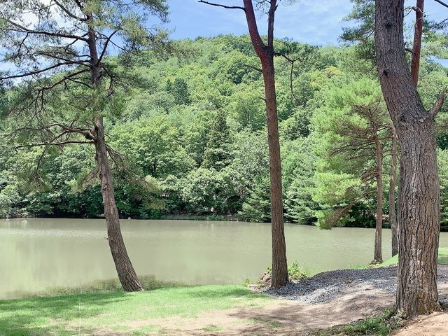 rłAƂĂJꏊɂȂĂāAYȃLvTCg[Ă܂B_LvRe[W tHX^L