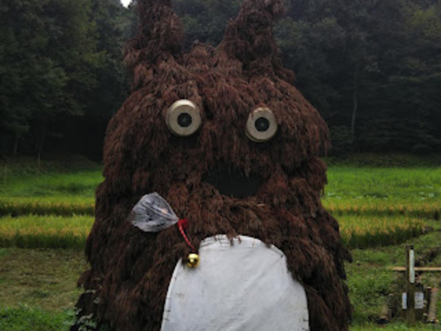 ���ԏ�ɂ����g�g���B_��J�����_��