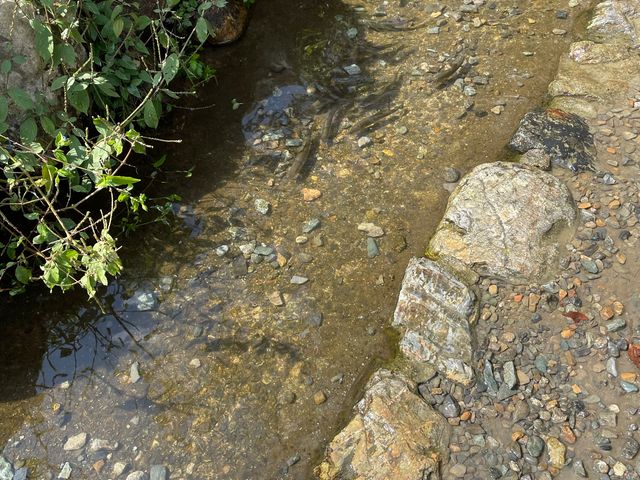 ���͗₽���ċC���������ł��I
���C�Ȉ����������񂢂܂���^_^_���̉w �a