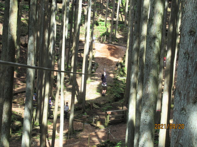 �W�b�v���C��_�t�H���X�g�A�h�x���`���[��O�g�������