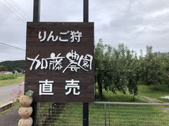 ���傭���傭����̉����_���ւ̓��e�ʐ^1