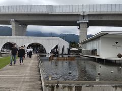 ߋT|~̃ANACOjXЉւ̓eʐ^1