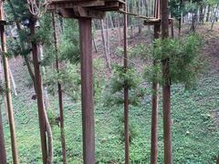 ~̃tHXgAhx`[Eւ̓eʐ^1