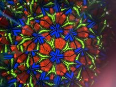 ̃XehOX MilleNeigeւ̓eʐ^2