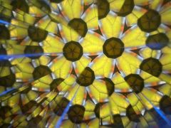 ̃XehOX MilleNeigeւ̓eʐ^4