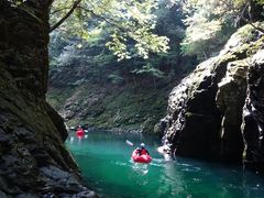 Blijdorp̂܂́EVѕւ̓eʐ^1