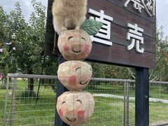 �䂣������̉����_���ւ̓��e�ʐ^1