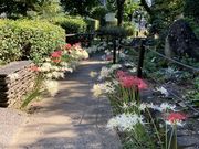 Ȃׂ񂳂̐sΉZ^[̓eʐ^1