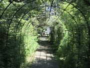 Ȃׂ񂳂̐sΉZ^[̓eʐ^2