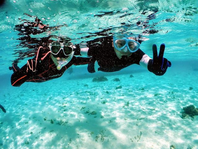 �V���m�[�P�����O�ō�
�����x100��_�u���[�t�H���X�g�{�Ó�