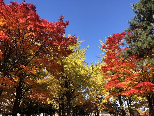 �J���t���ȍg�t_�k��C�`���E����