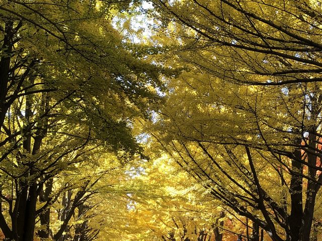 ��Ǖ��؂̃g���l��_�k��C�`���E����