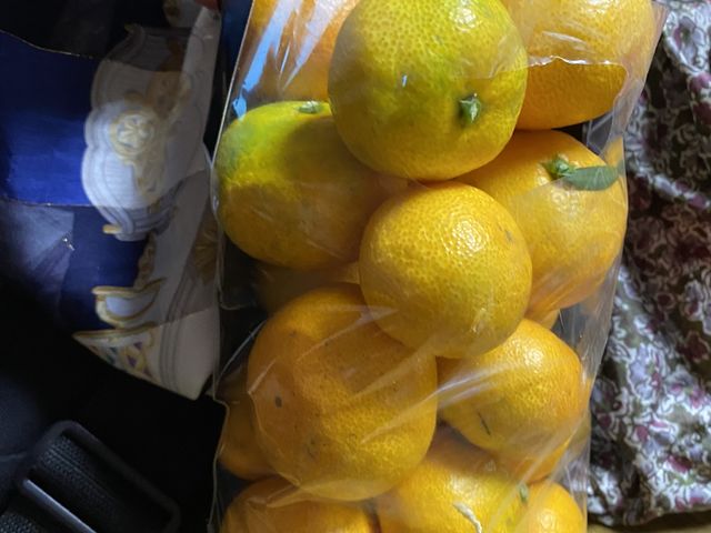 �܂�8.5x9.5x12cm�ł�����Ə����߁H�ł��������Ƒ�R�����_FRUIT PARK YOKOHAMA�@�Ō��ʎ���