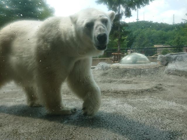 ���R������