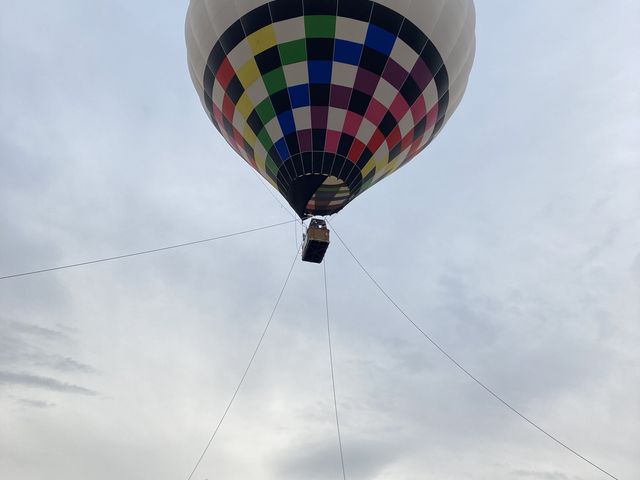 �_�����Ȃ���Α喞���A�A�A_���n���C�I���A�h�x���`���[