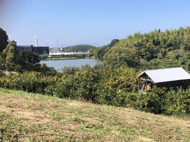 ܂肵Ă܂AȎqǂAȂ炿傤ǂ炢łB_ԉʎ