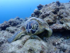 SҐ_CrOXN[܂̎ʐ^1