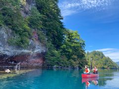 悤̐AEghAZ^[(X)ւ̓eʐ^1