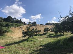 ς񂾁B̂ԉʎւ̓eʐ^1