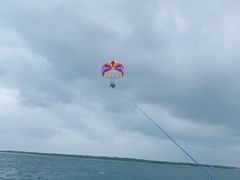 ҂񂳂̐Ί_u[V[T[ւ̓eʐ^1