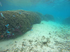 juñ_CrOVbv@[Oւ̓eʐ^1