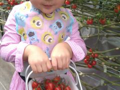 ʁ[ҁ[̂ǂEEH[^[Et@[ւ̓eʐ^1