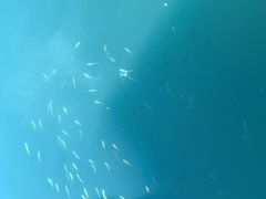 Ƃ̈Ǘ`@WDނւ̓eʐ^1