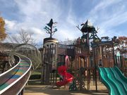 Ђ낿񂳂̔͊ւ̐X̓eʐ^1