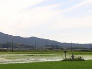 Yanwenli̔_Е󓃂̓eʐ^1