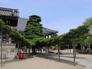 Yanwenli����̖{�����̓��e�ʐ^1