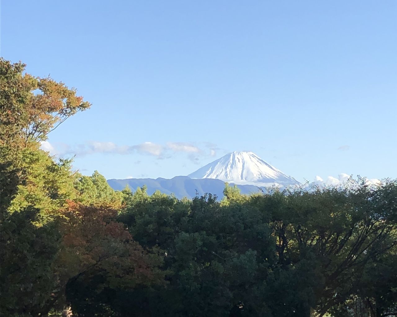 全国の自然体験ランキングTOP10 - じゃらんnet