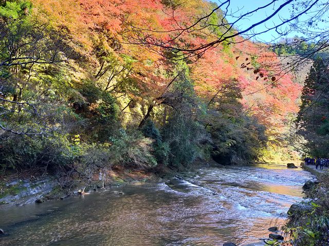 �{�V�k�J_�{�V�k�J