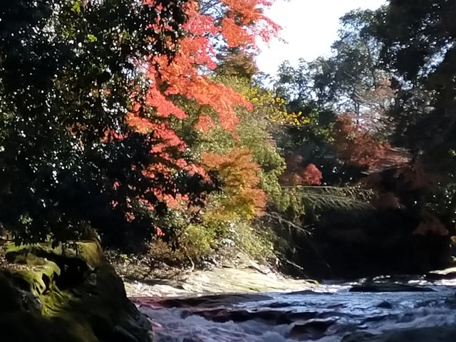 �����̑�㗬_�{�V�k�J