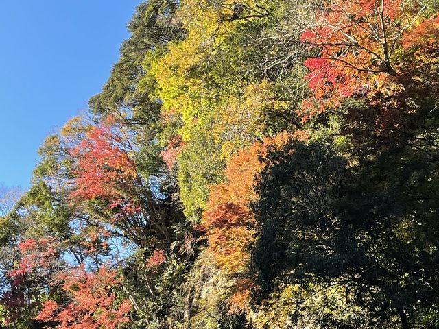 �g�t_�{�V�k�J