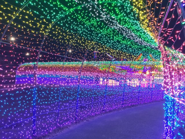 ���̃g���l��_�����h�C�c��