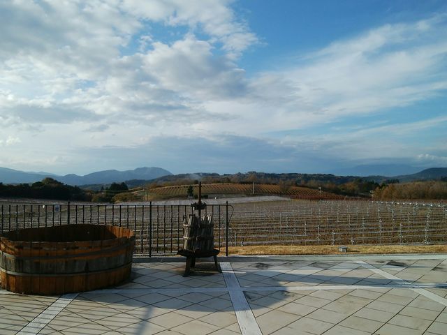 Vg[eX茩̌i_ɓCi[Vg[T.S