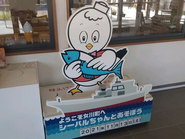 ����̂��L����  �V�[�p�������_�V�[�p���s�A����