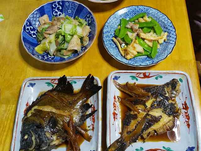 �A�Y�L�܂��ƃC�V�K�L�_�C_���H�}���V�F