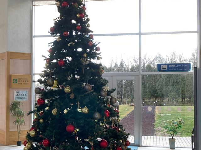 �R�ԉ��򃊃t��_�R�ԉ��� ���t��