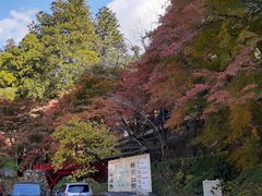 横蔵寺の紅葉の口コミ一覧 じゃらんnet