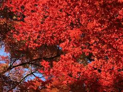 万葉公園 神奈川県湯河原町 の写真一覧 3ページ目 じゃらんnet