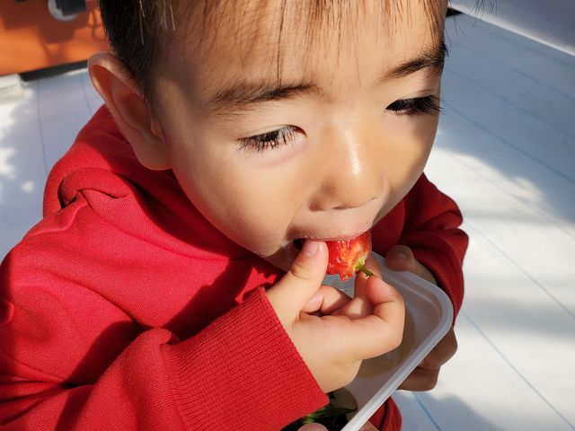 ���������H���ł�_�A�O�������X�^�[�X�y�V����