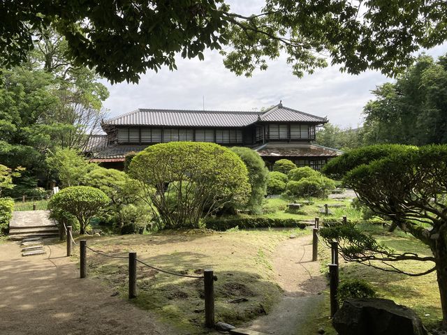 ���l��_���l��