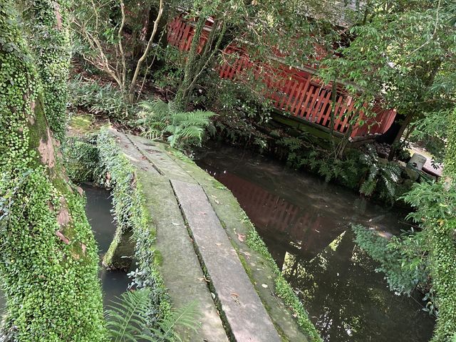 ���l��_���l��