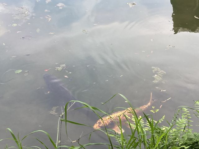 ���l��_���l��