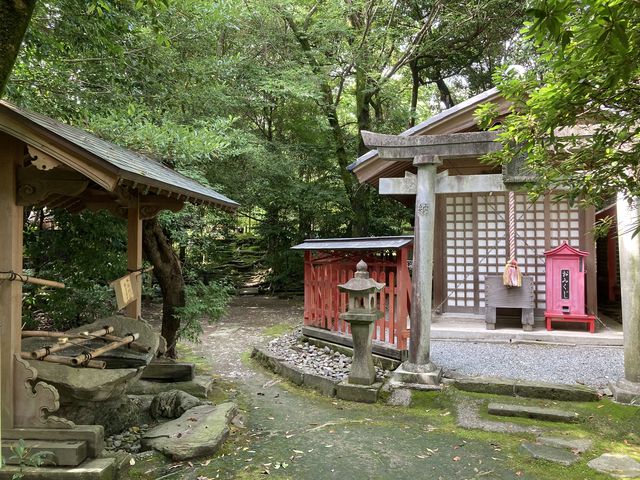 ���l��_���l��