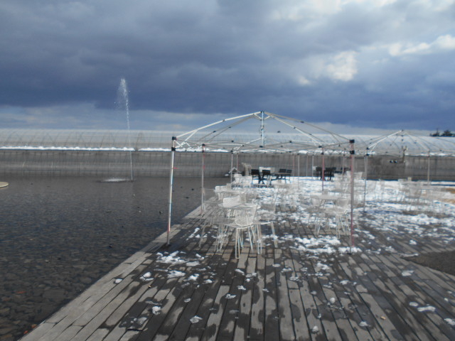 �A�N�A�C�O�j�X�@TSUJIGUCHIFARM